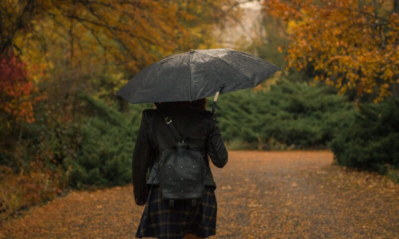 Ploile și furtunile pun stăpânire pe mai multe zone din România. Cum va fi vremea în București
