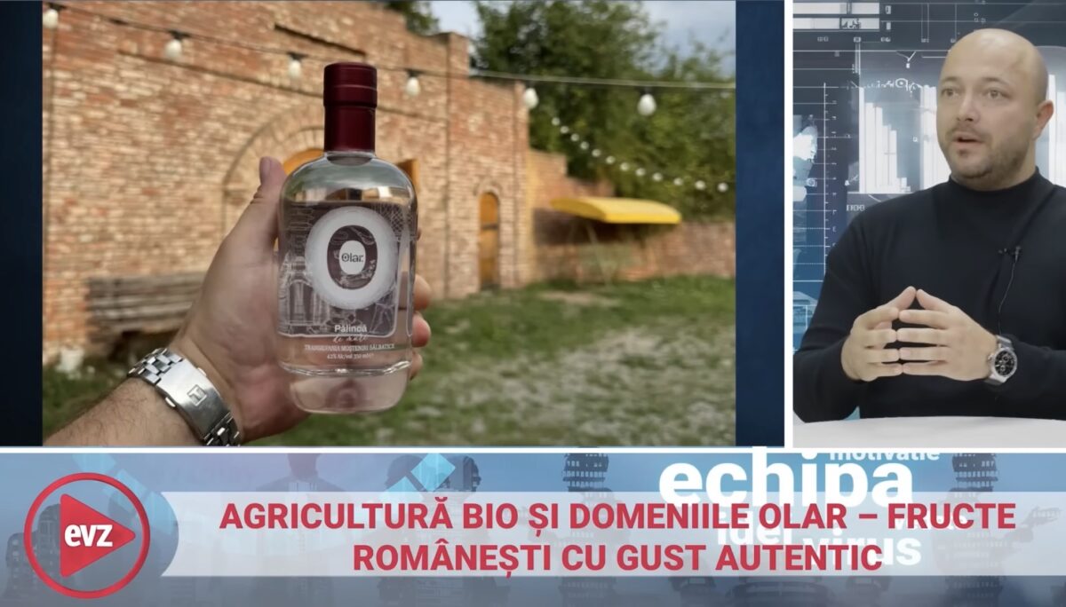 De la lemn la pământ: un ecosistem de familie între mobilier, pomicultură și pălincă premium