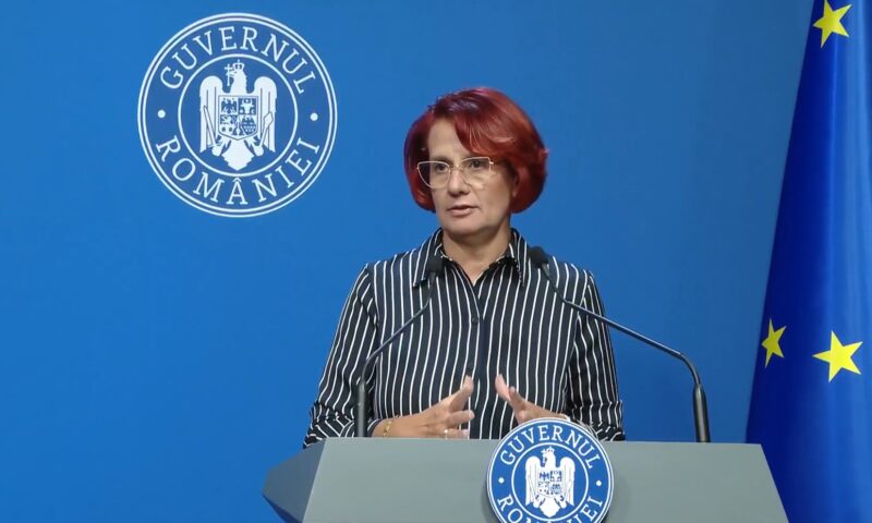 Ioana Dogioiu, despre sesizarea depusă de PSD în cazul fraților Micula: Justiția să-și urmeze cursul