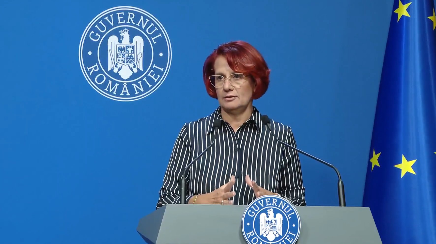 Ioana Dogioiu, despre sesizarea depusă de PSD în cazul fraților Micula: Justiția să-și urmeze cursul