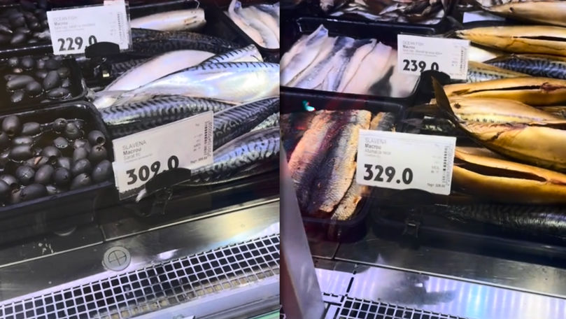 De ce a sărit prețul macroului la 330 de lei/kg în Republica Moldova. Explicația ministrului Economiei. Video