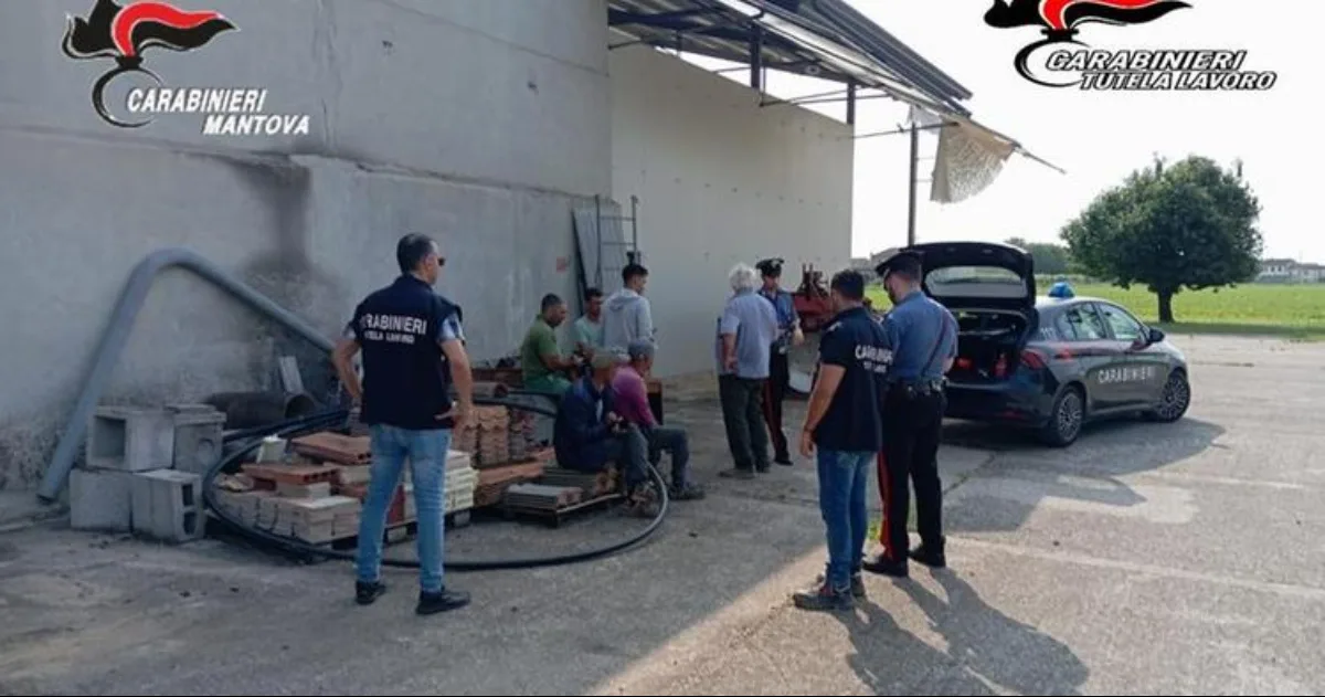 Moldoveni obligați să muncească până la 16 ore pe zi în Italia. Ce pățeau cei care încercau să protesteze