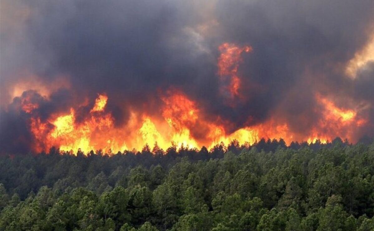 Incendiu uriaș în pădurile Hyrcaniene. 400 de pompieri mobilizați. Turcia sare în ajutor