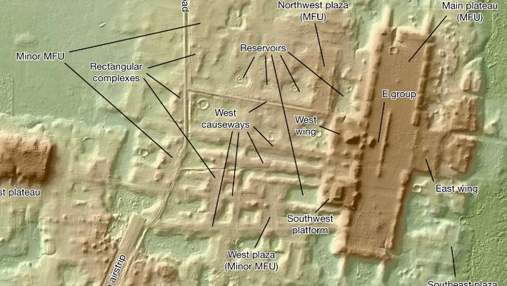 Horoscopul lui Dom’ Profesor,  7 noiembrie 2025. Aguada Fénix