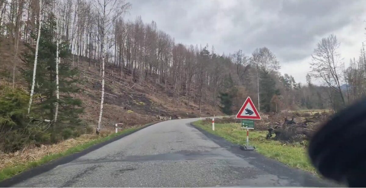 Cele mai ciudate și neînțelese semne de circulație din Europa. Indicatoarele pun șoferii pe gânduri