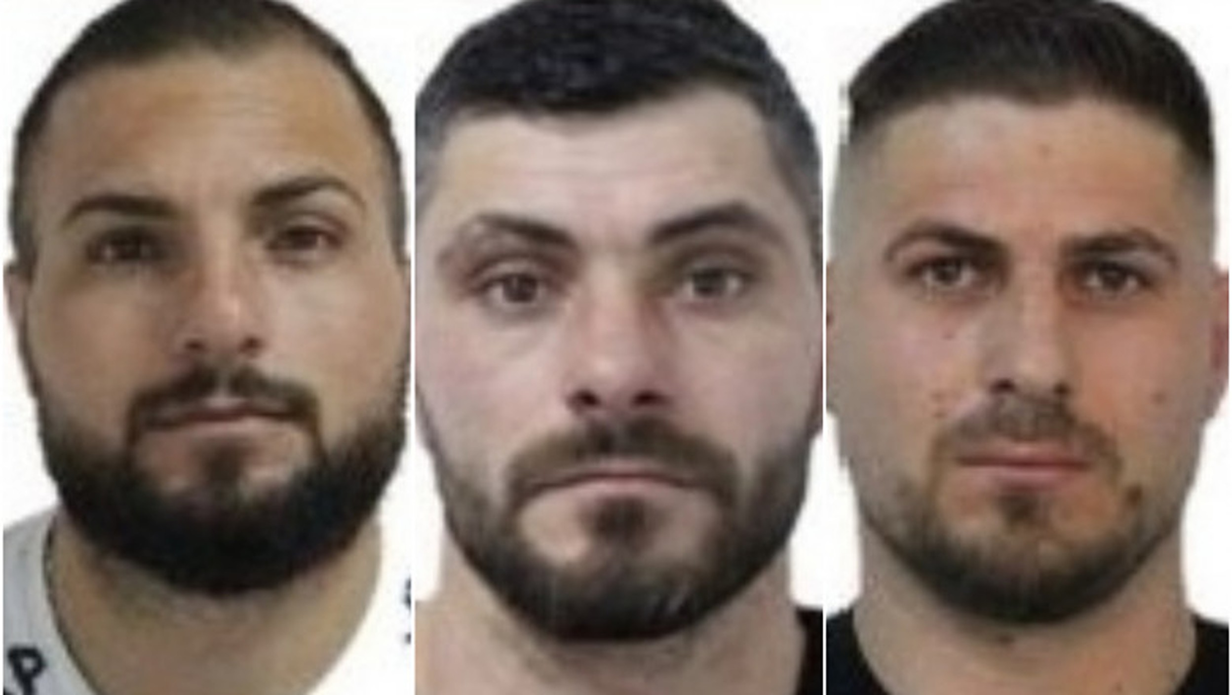 Ucigașii lui Adrian Kreiner.v1