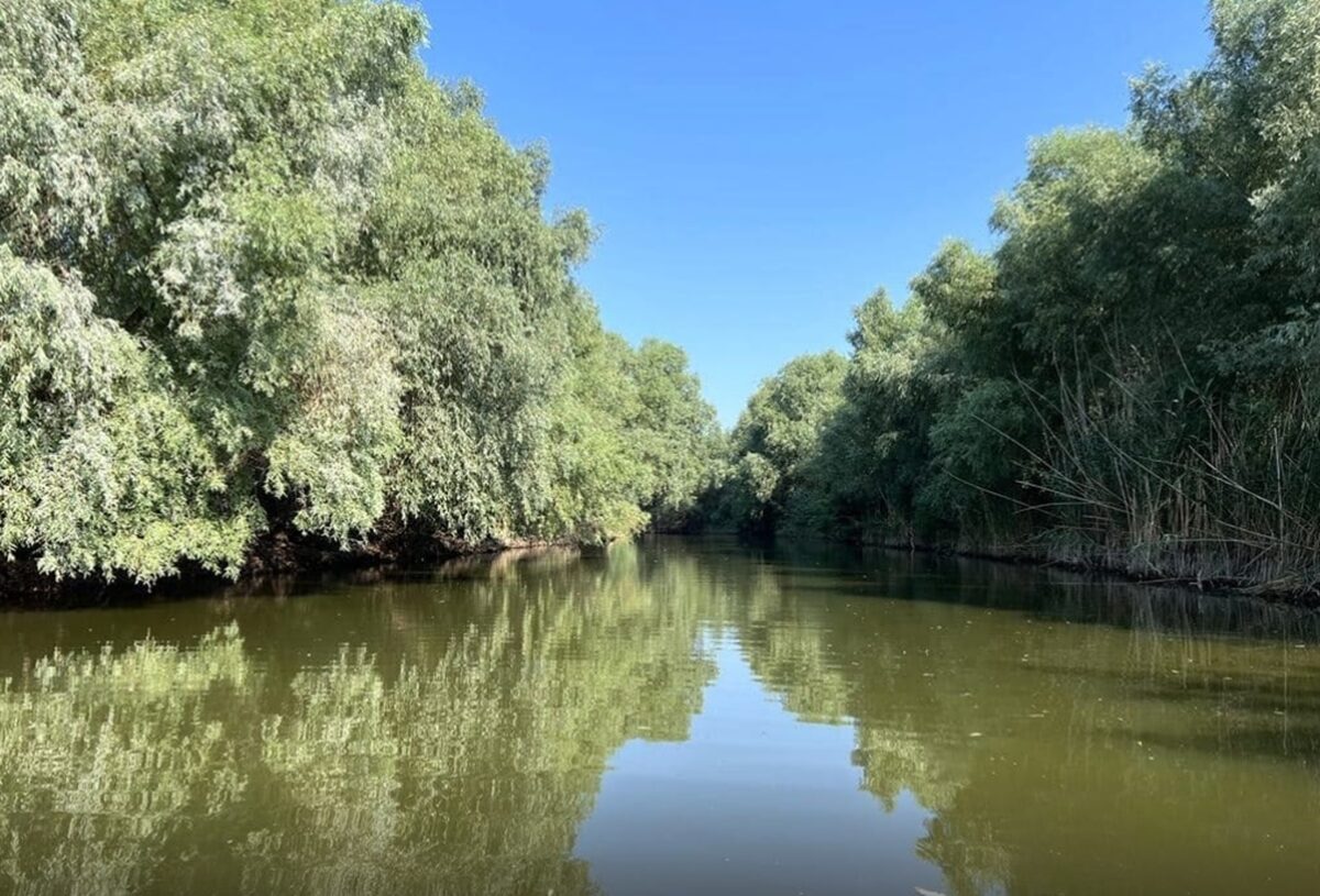 Accident naval în Delta Dunării. Un bărbat a fost rănit în urma coliziunii a două ambarcațiuni