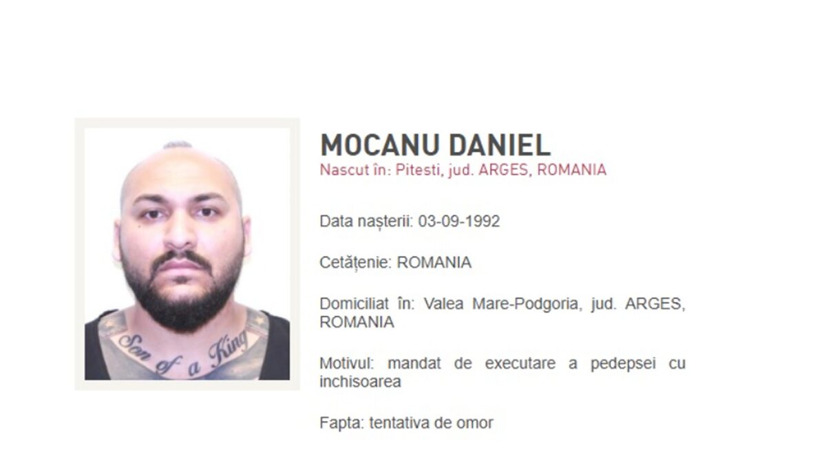 Adevărul despre averea lui Dani Mocanu, dezvăluit de avocatul Bogdan Păun