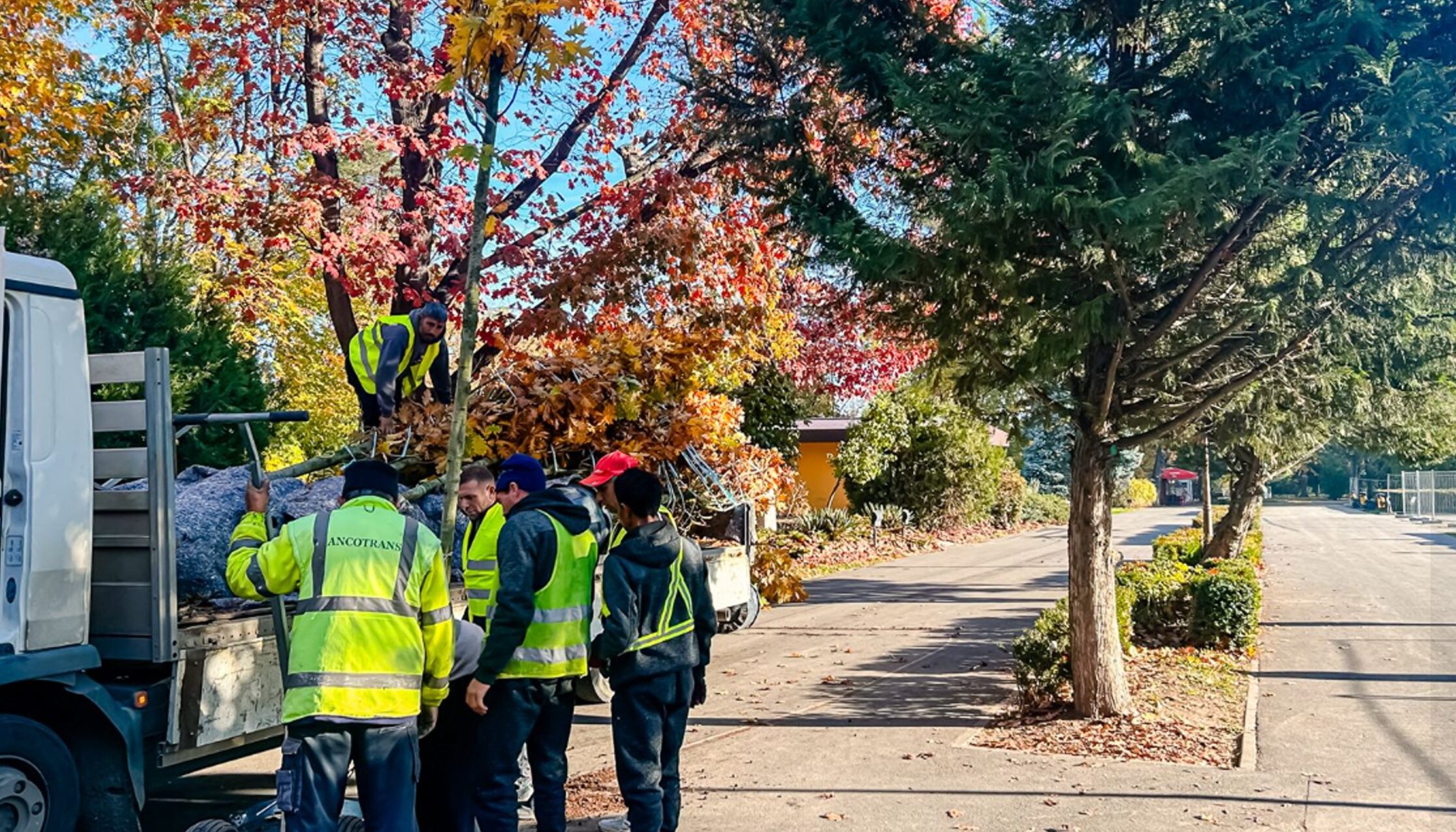 ALPAB, achiziții de la o firmă vizată de DNA. Instituția se raportează la un registru neconform