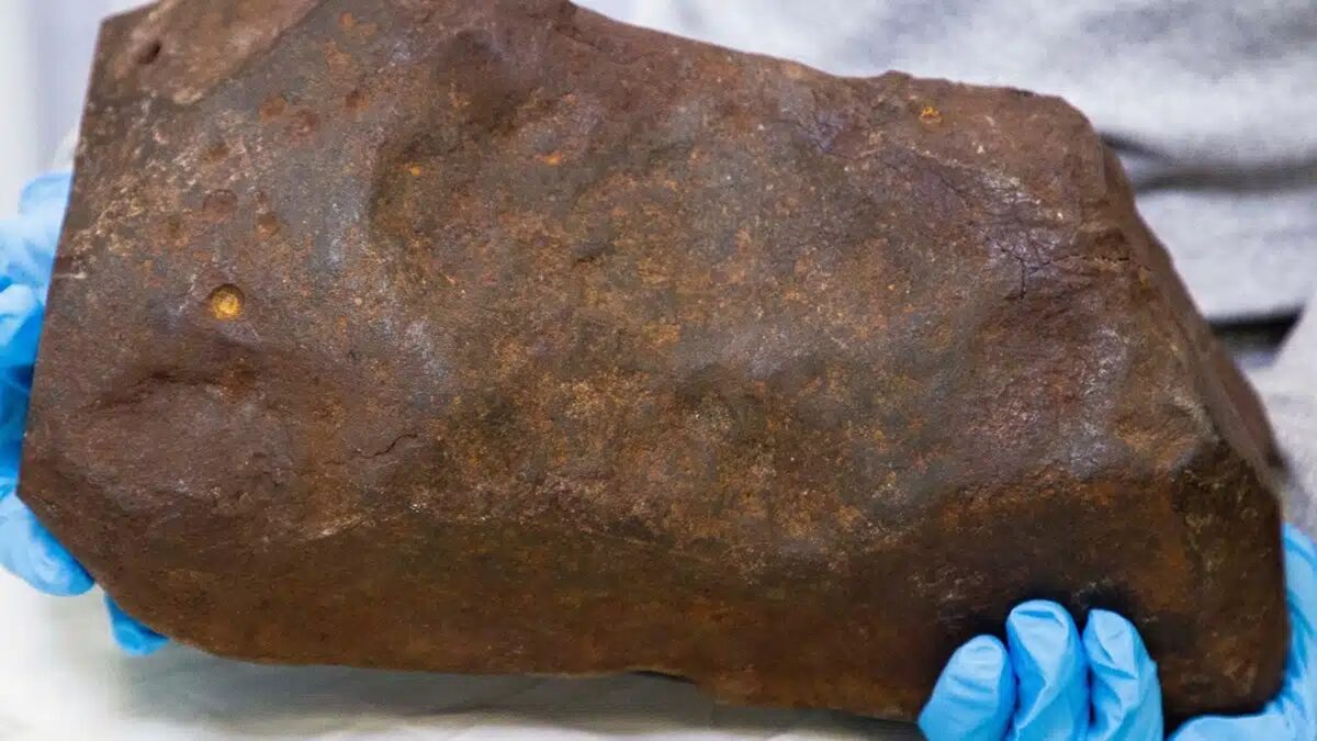 Un bărbat a crezut că a găsit aur, dar roca s-a dovedit a fi un meteorit vechi de 4,6 miliarde de ani