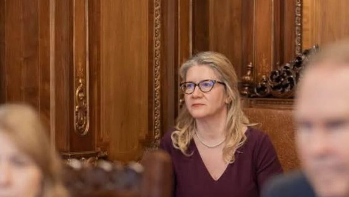 Anne-Marie Blăjan, consilier politic la Ambasada SUA, critică Justiția din România și promovează inițiative USR