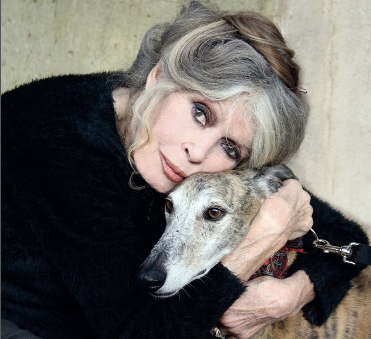 Ultimul drum al lui Brigitte Bardot către cimitirul de la malul mării. Nu l-a vrut pe Macron la înmormântare