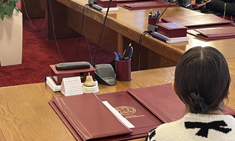 Cine își poate pierde funcția după decizia CCR privind noua Lege ANI. Amendamentul care îl vizează pe Dominic Fritz, declarat constituțional