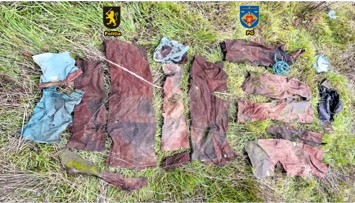 Dosarul care cutremură Anenii Noi. Fiul suspectului, reținut într-un caz ce vizează crime ascunse la o fermă de porci