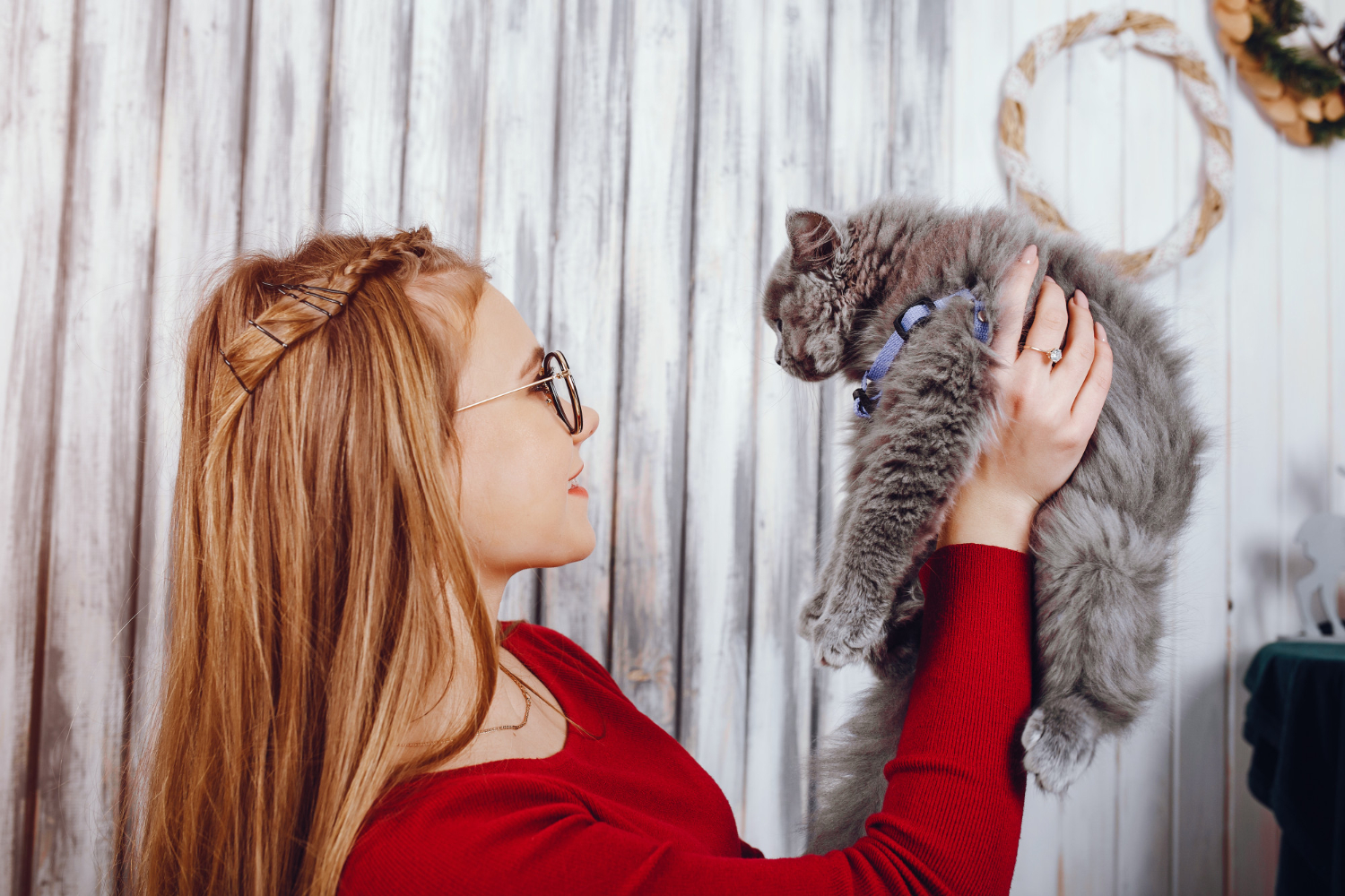 Reguli de bază pentru cei care adoptă un animal pentru prima dată