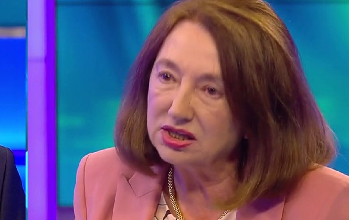 Vila Rodicăi Stănoiu, devastată. Cine controlează acum averea fostei ministre