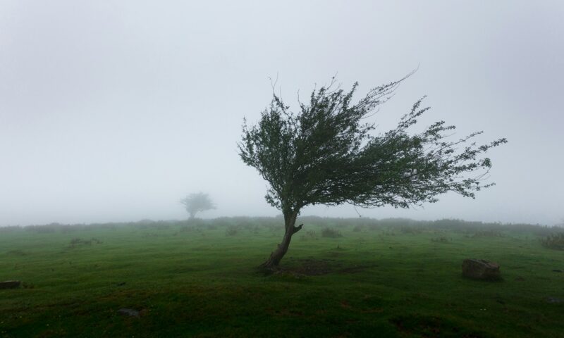 Prognoza meteo, 21 mai. România, sub un val de aer rece. Ploi torențiale, descărcări electrice și vânt puternic în mai multe județe