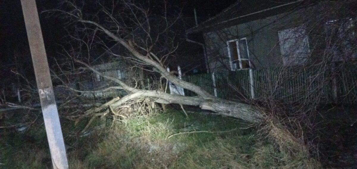 Vântul puternic a pus la grea încercare serviciile de urgență. Peste 80 de intervenții în toată Republica Moldova