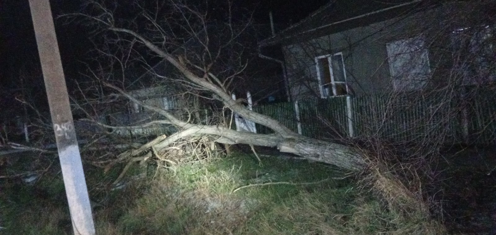 Vântul puternic a pus la grea încercare serviciile de urgență. Peste 80 de intervenții în toată Republica Moldova