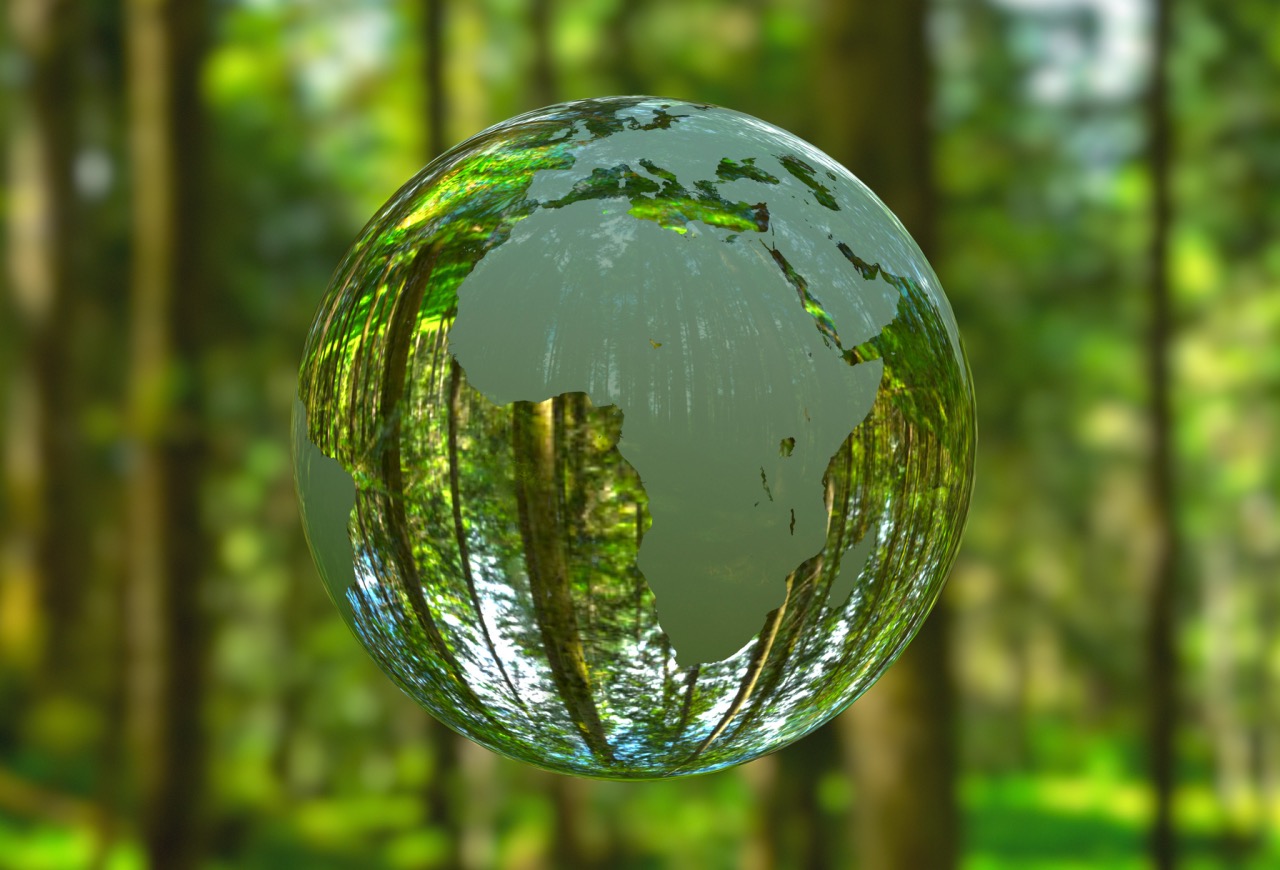 „Bateria verde” a planetei. Cât de pregătit este continentul african pentru viitorul sustenabil