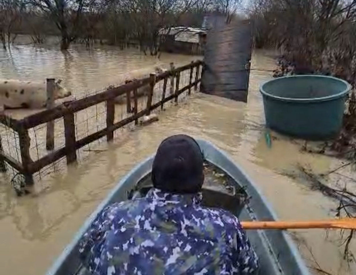 Furtunile au provocat pagube în patru județe. Copaci doborâți și gospodării inundate