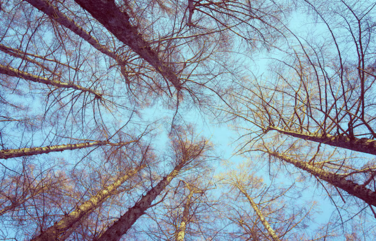 Prognoza meteo, 5 decembrie. Final de săptămână cu vreme de plimbări. Ploile slabe apar pe alocuri