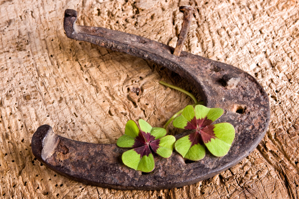 Norocul bate la ușa ta. Ce zodii vor avea săptămâna perfectă de final de an