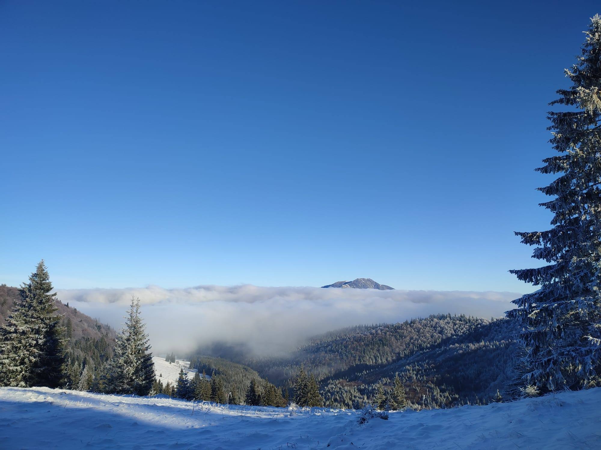 Refugiul ascuns al Carpaților. Locul în care visele tinereții și libertatea se înălțau deasupra epocii Ceaușescu