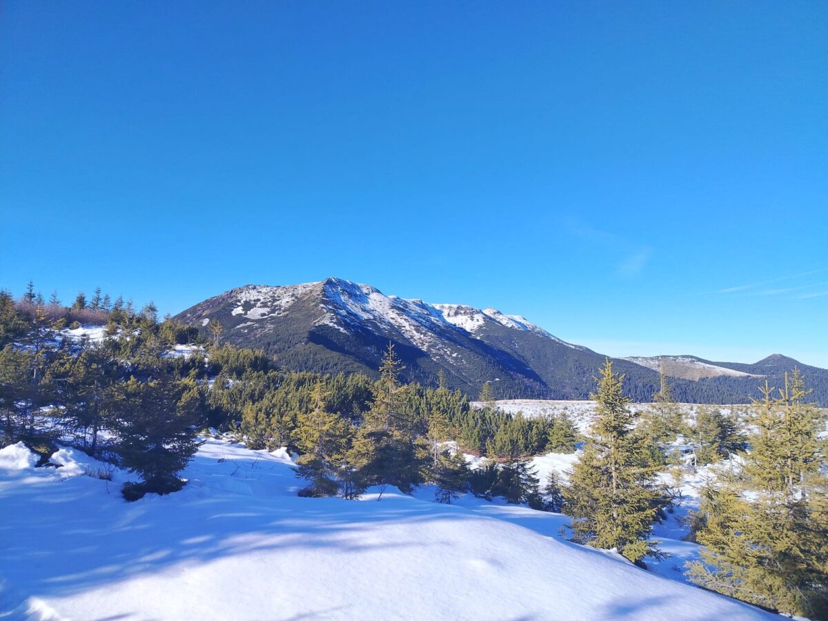 Sfaturi pentru turiștii care vor pleca în drumeții. Ce spun salvamontiștii