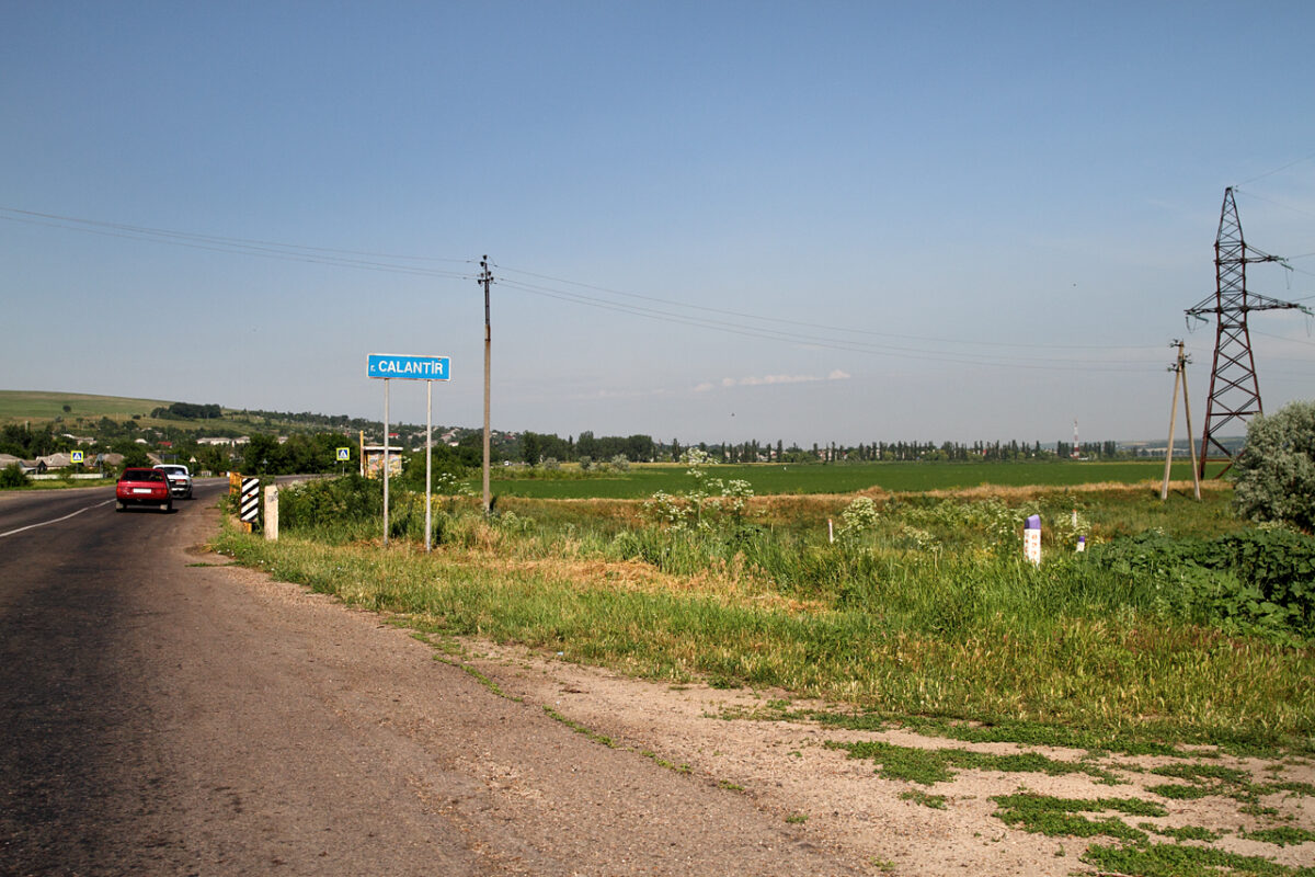 Porci hrăniţi cu cadavre umane. Un cuplu de fermieri, reţinut