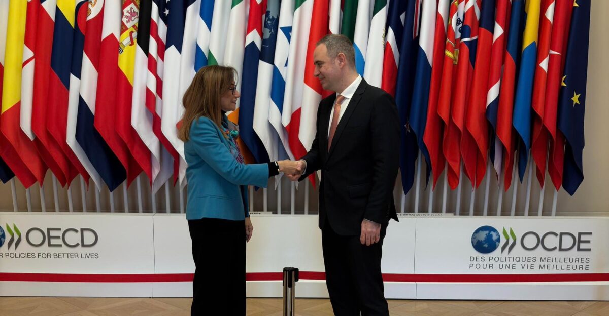 Ministrul Finanţelor: România, în linie dreaptă spre OCDE. Care este etapa-cheie pentru aderarea țării 