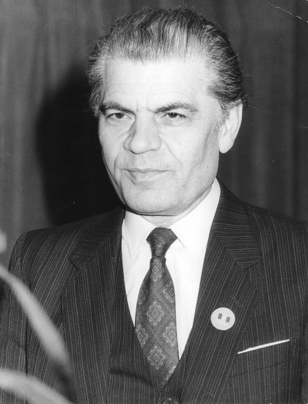 Dumitru Mazilu, CFSN, 1990