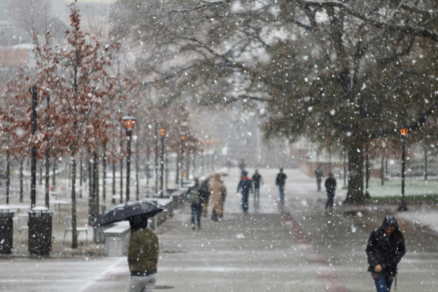 Autoritățile din mai multe județe transmit avertismente din cauza gerului. ISU Bihor: Evitați deplasările inutile