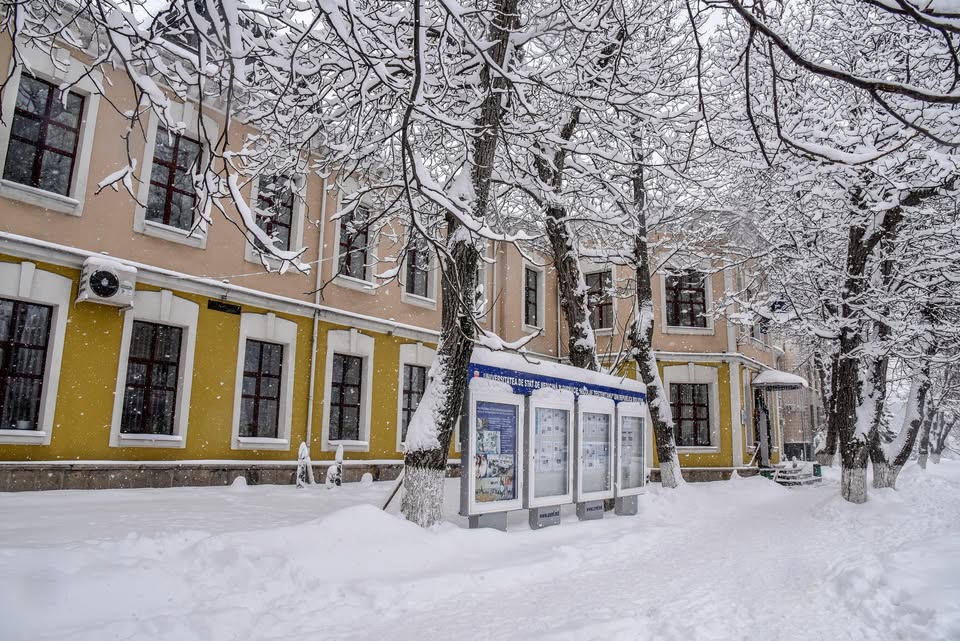 Raport oficial. Diplomele de rezidențiat pentru medicii din România, eliberate de Universitatea de Medicină din Chișinău, sunt valide