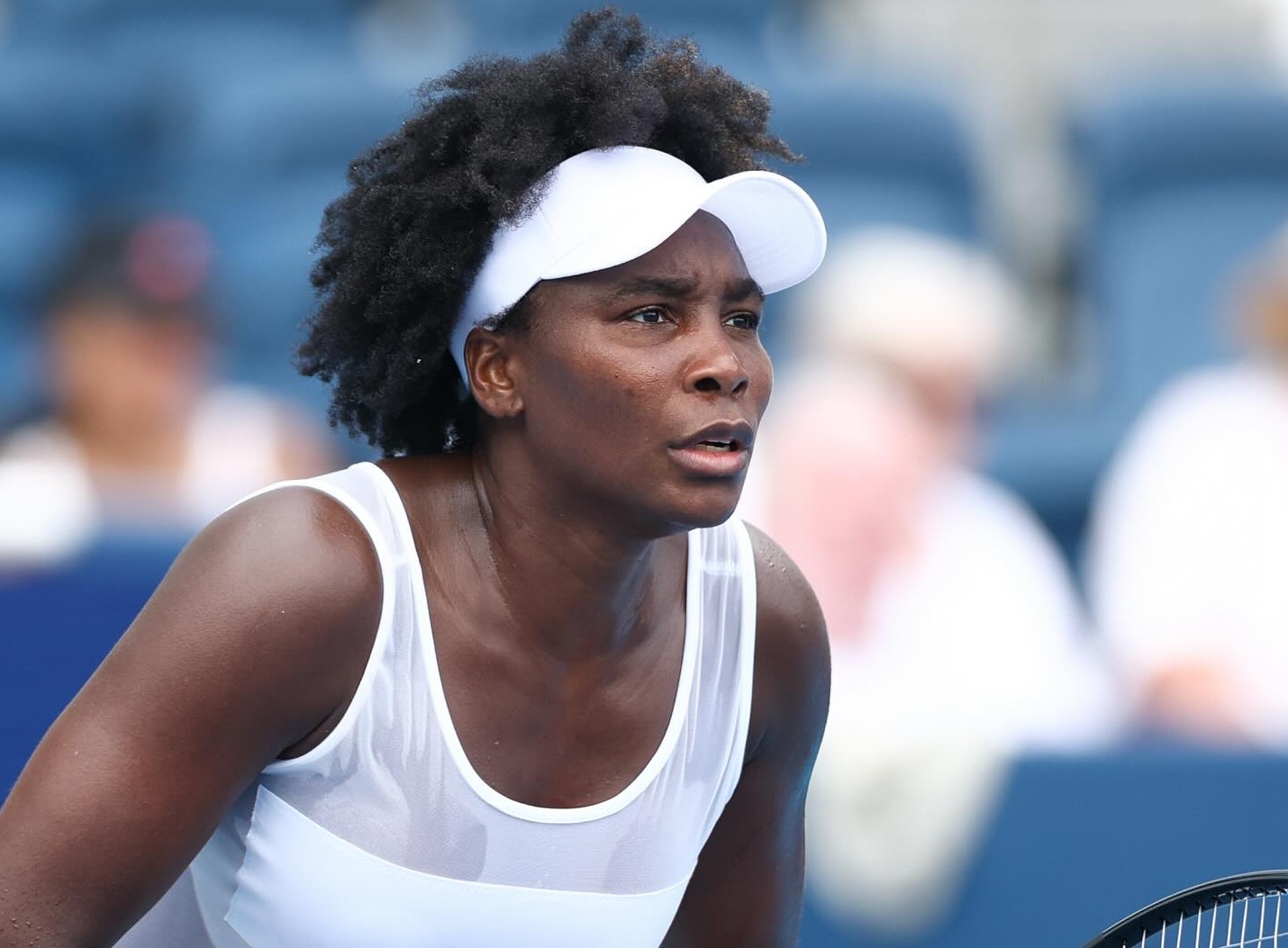 Venus Williams
