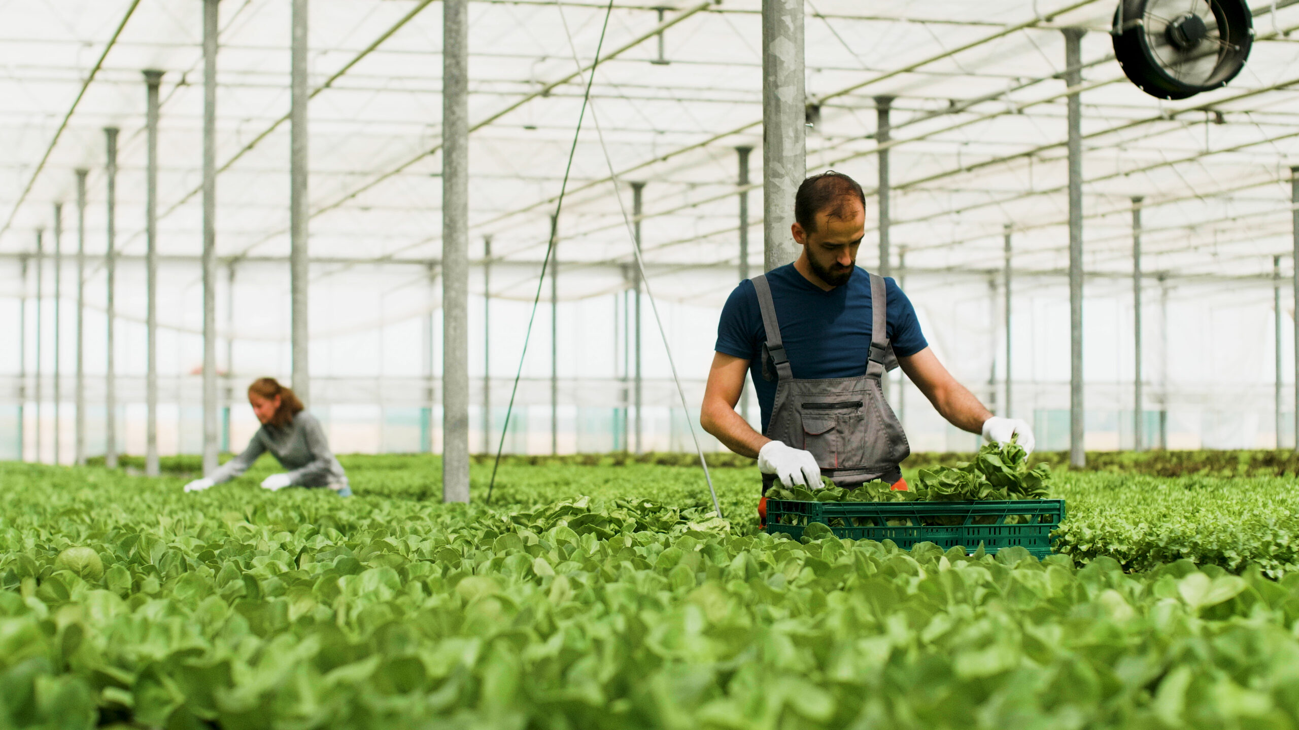 Agricultură