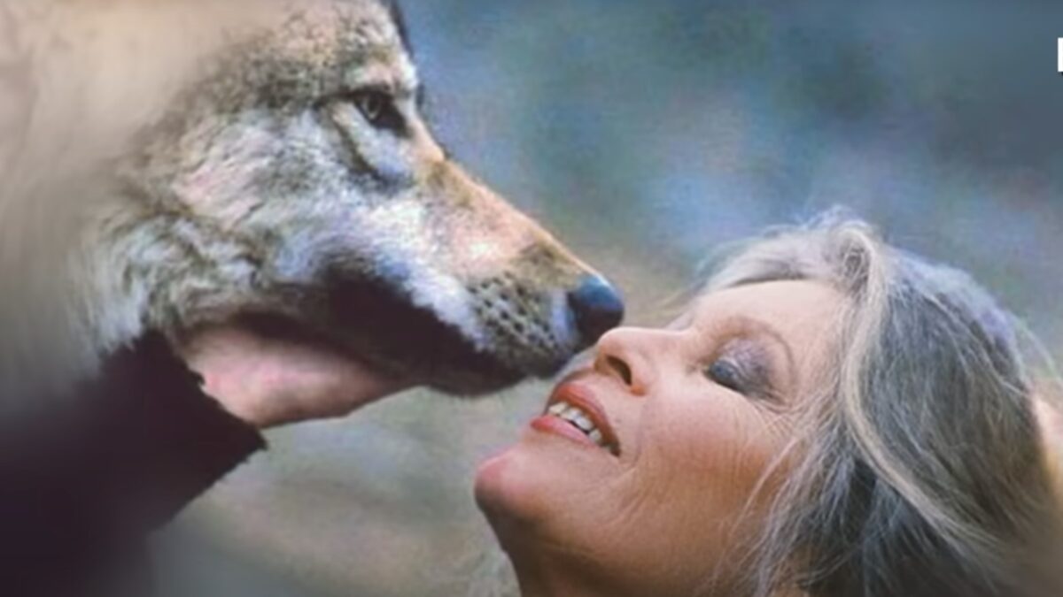 Fundația „Brigitte Bardot”, avertisment pentru cei care vând produse cu imaginea actriței