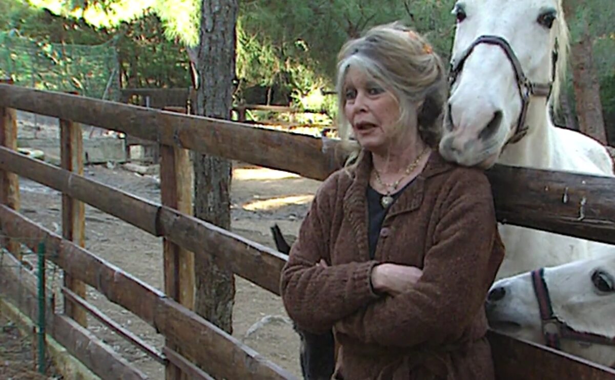 Boala care a răpus-o pe Briggite Bardot. Dezvăluirile făcute de soțul ei, Bernard d’Ormale