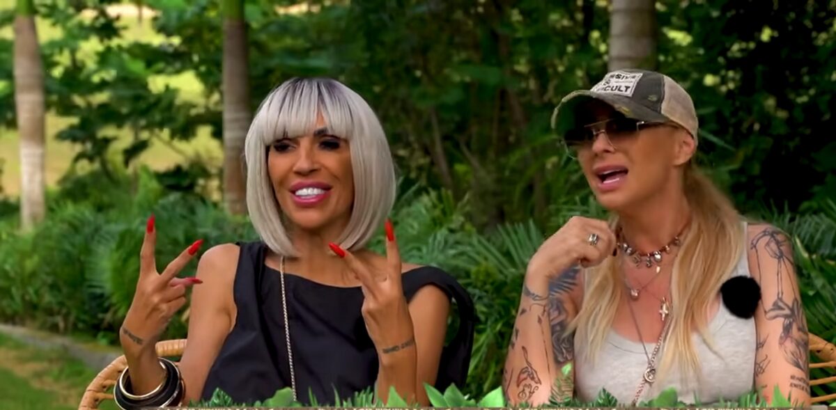 Anamaria Prodan și Raluca Bădulescu, concediate de la Antena 1. Survivor: Povești din Junglă, scoasă din grilă