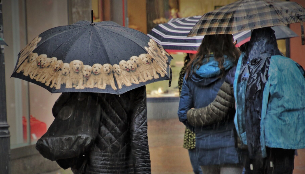 Prognoza meteo, 24 ianuarie. Weekend cu temperaturi mai ridicate față de cele specifice. Unde va ploua