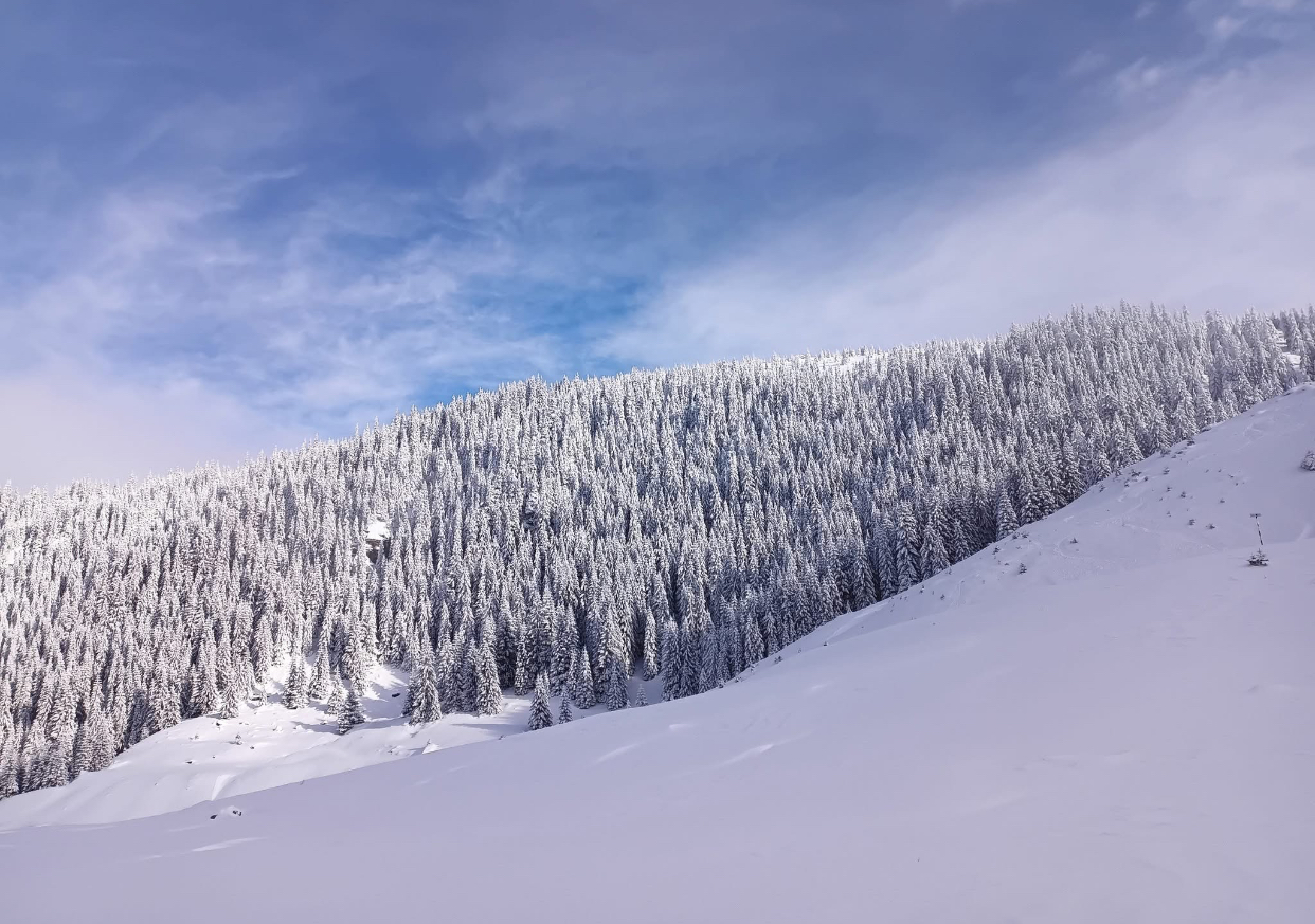 Pericol în zona montană a județului Suceava. Zăpadă de doi metri pe mai multe trasee și risc crescut de avalanșă