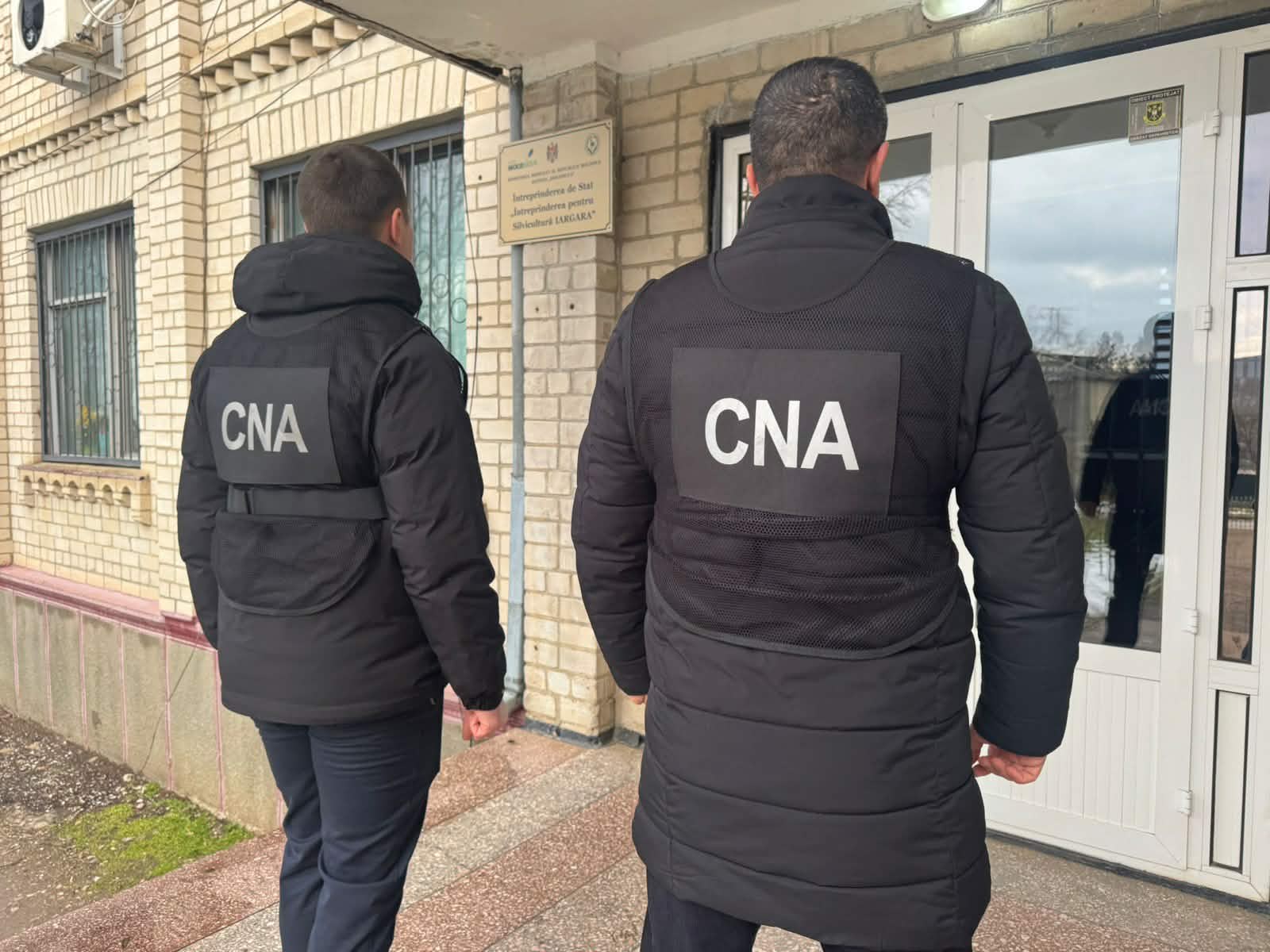În loc să planteze copaci, angajații unei întreprinderi de silvicultură ar fi delapidat patru milioane de lei