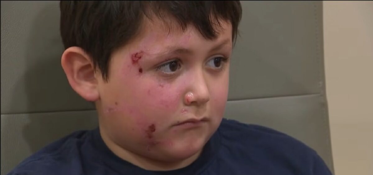 O nouă provocare periculoasă pe TikTok. Aveți grijă la copii și cuptorul cu microunde!