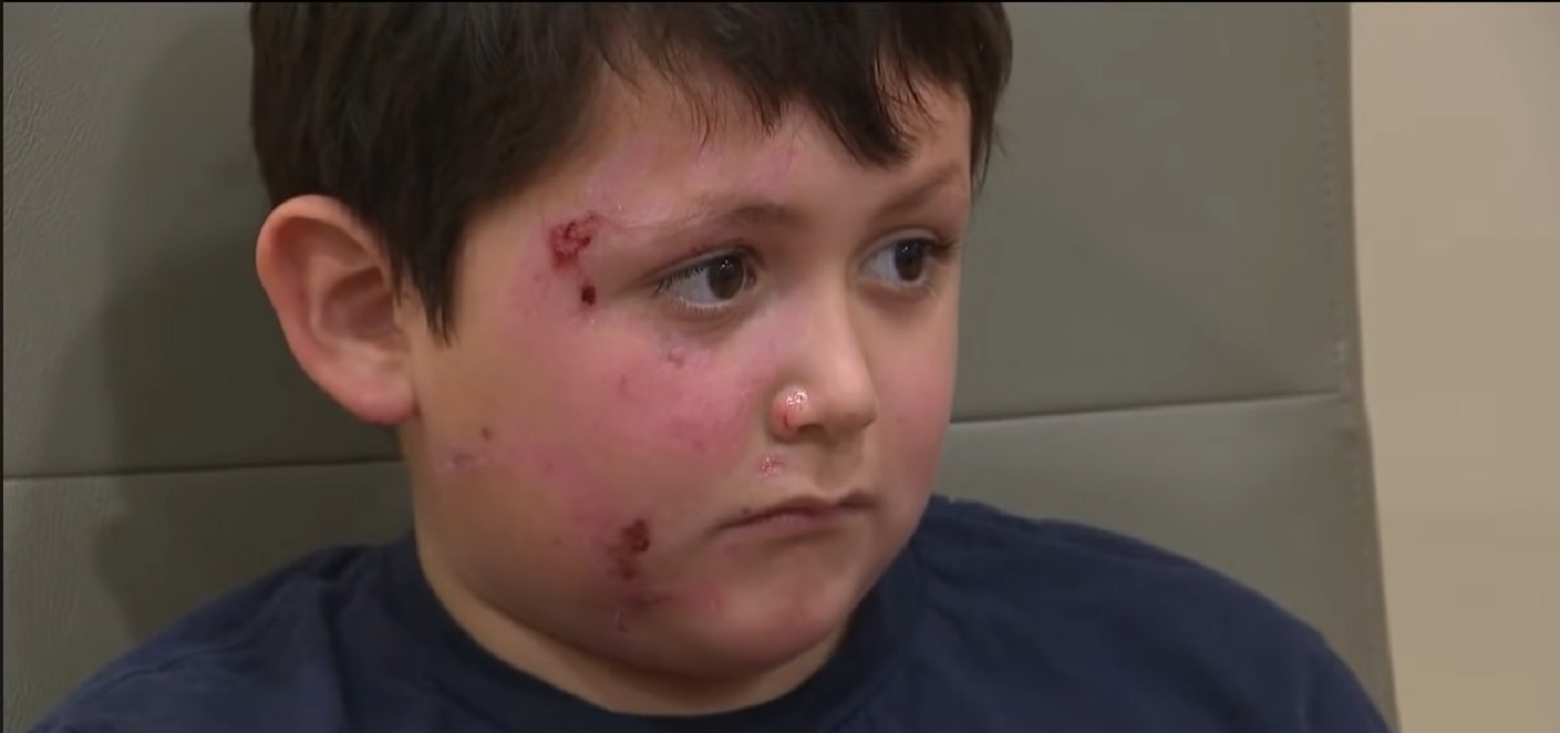 O nouă provocare periculoasă pe TikTok. Aveți grijă la copii și cuptorul cu microunde!