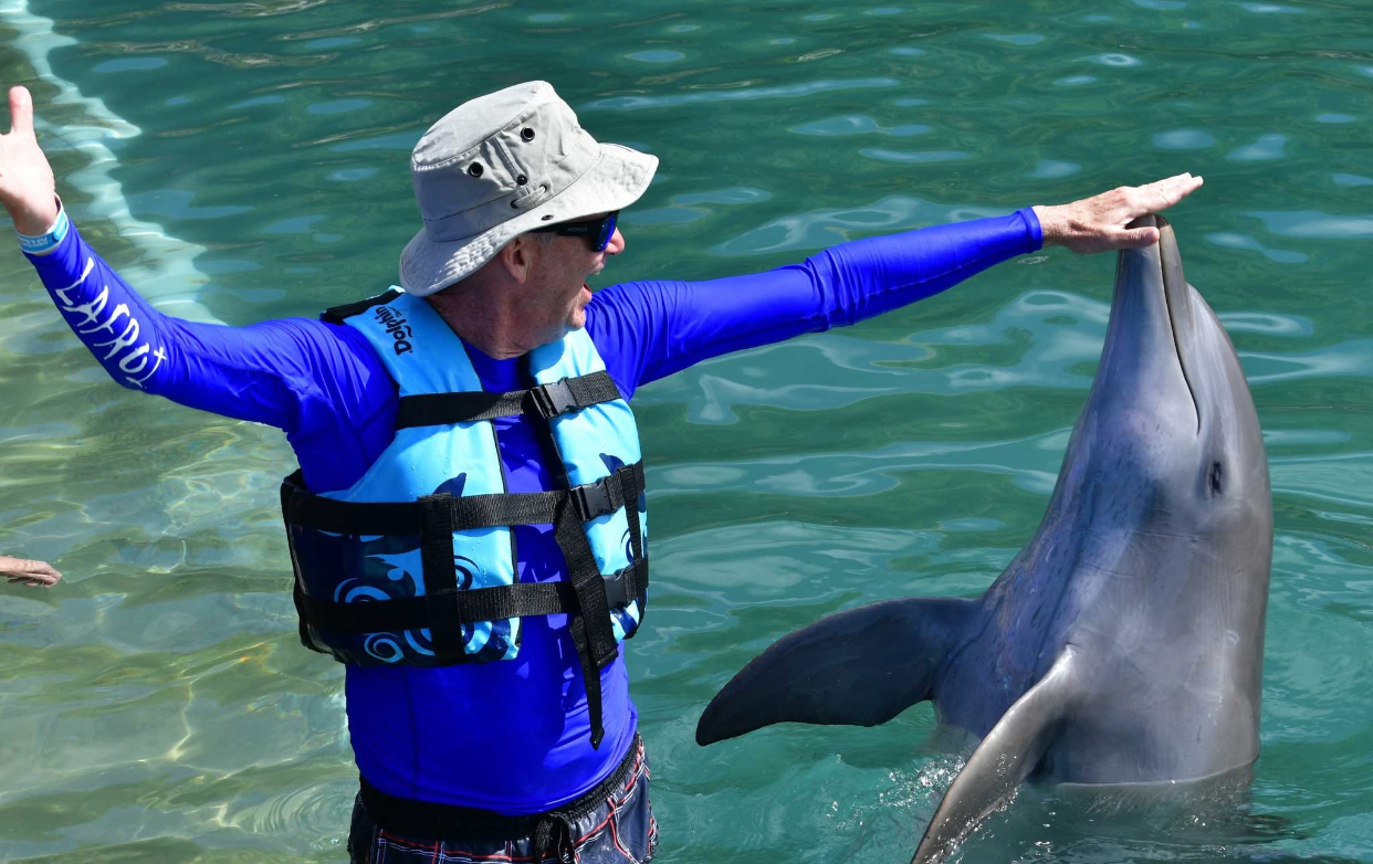 Directorul Dolphin Discovery, reținut în urma acuzațiilor de fraudă. Ce se întâmpla cu compania