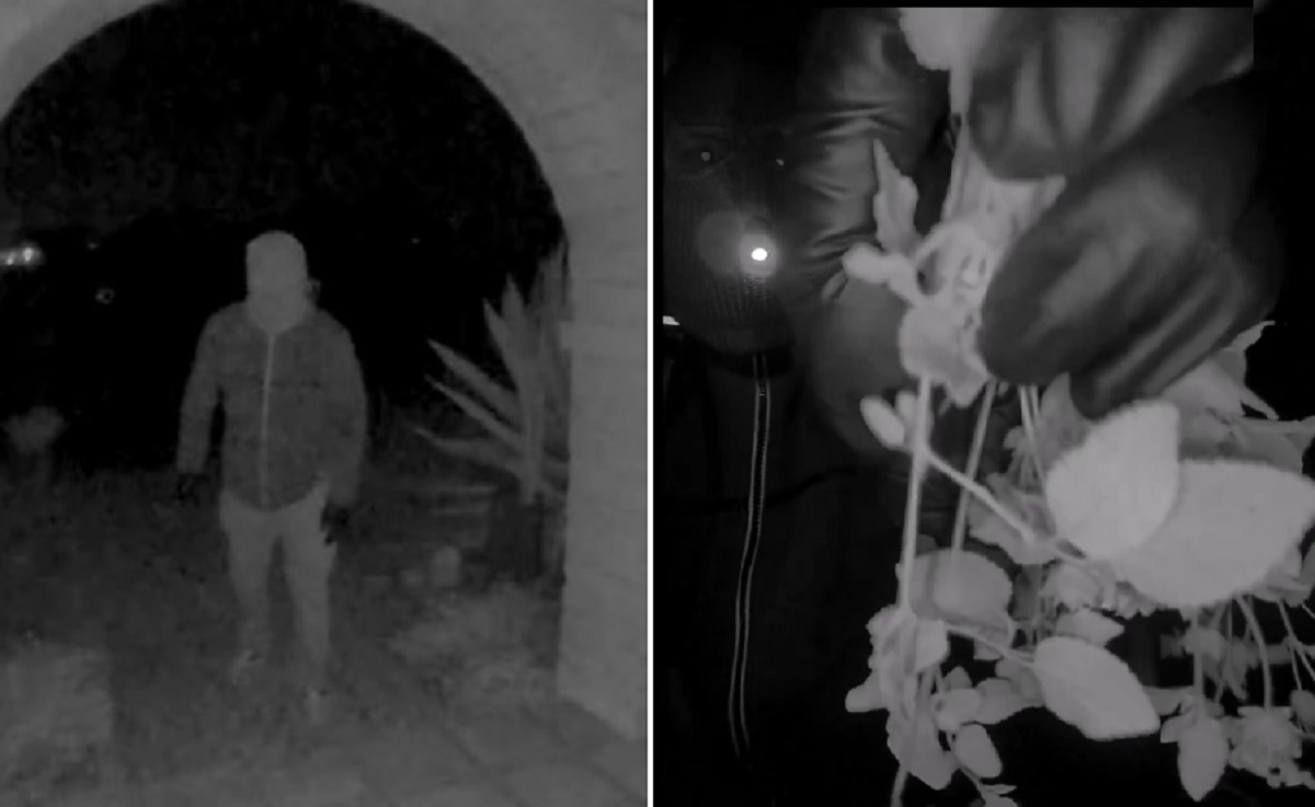 Suspectul reținut în cazul Nancy Guthrie, după ce FBI a publicat imagini, a fost eliberat