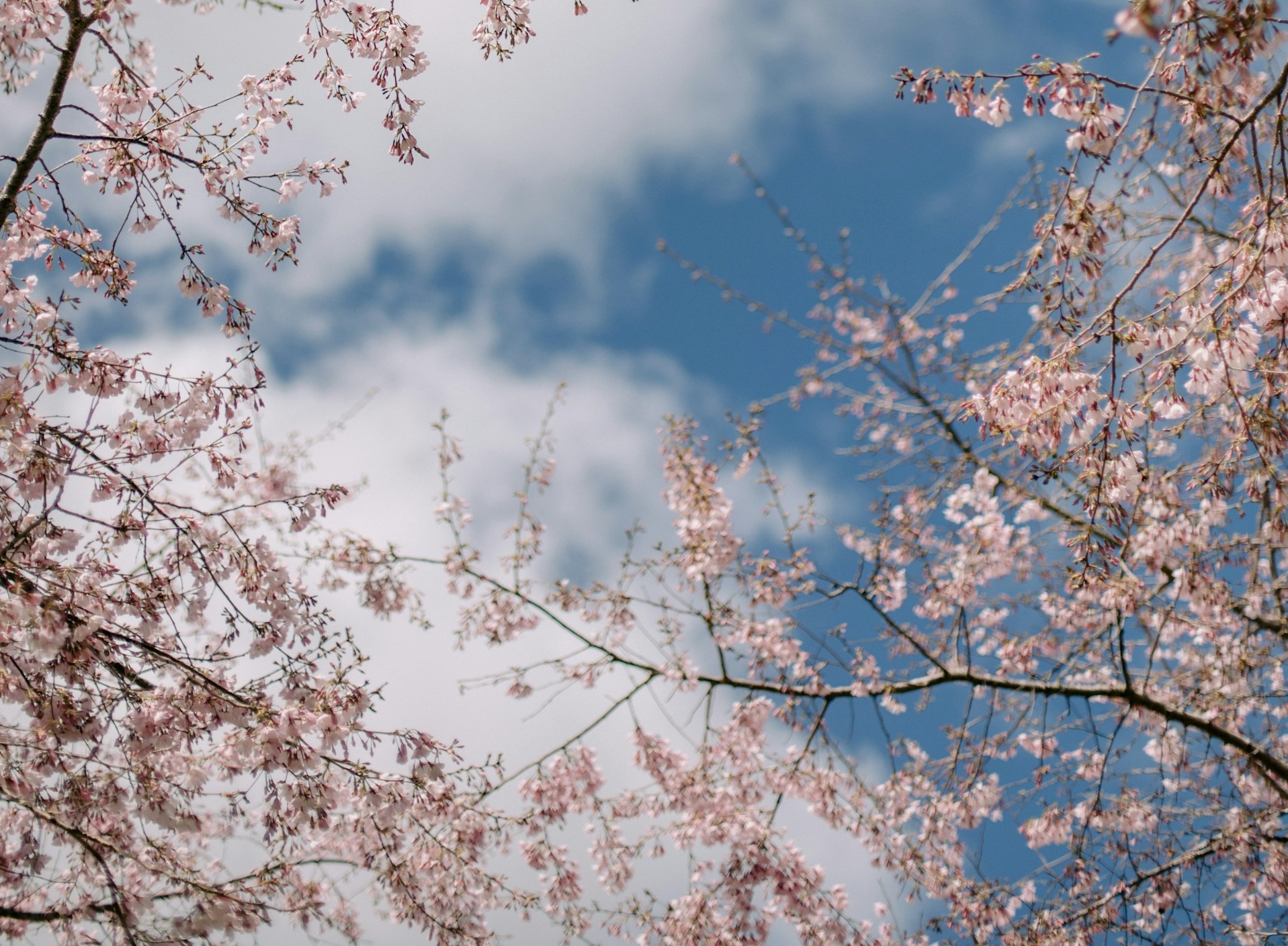 Echinocțiul de primăvară. Ce trebuie să faci în această zi ca să-ți meargă bine tot anul