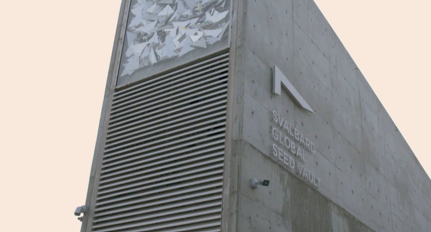 Seiful Apocalipsei, ultima salvare a oamenirii. Caracteristicile locului care are un singur scop