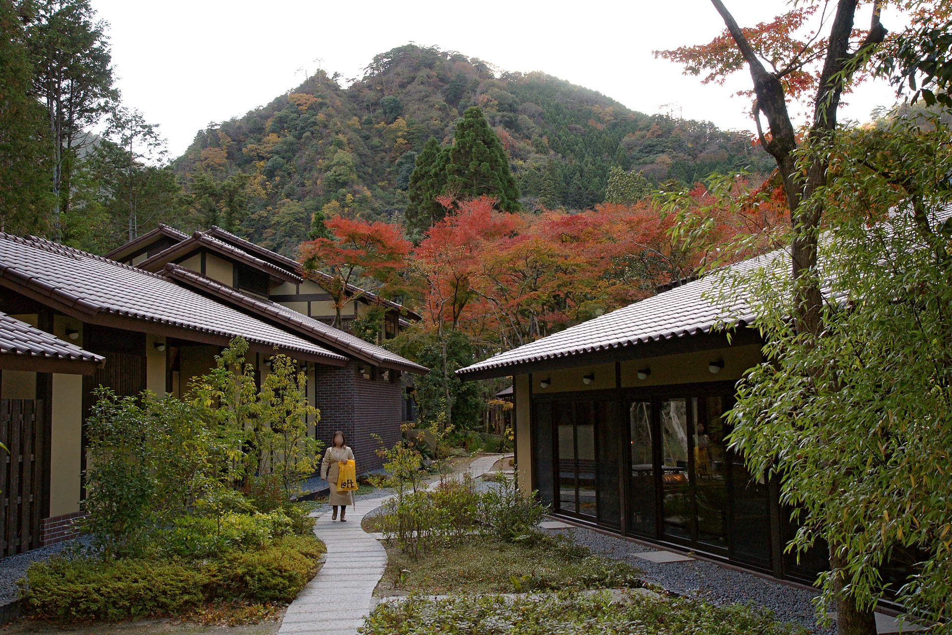 Hanurile tradiționale din Japonia, folosite ca spații de cazare. Camerele, amenajate în stilul japonez din secolul al XVII-lea