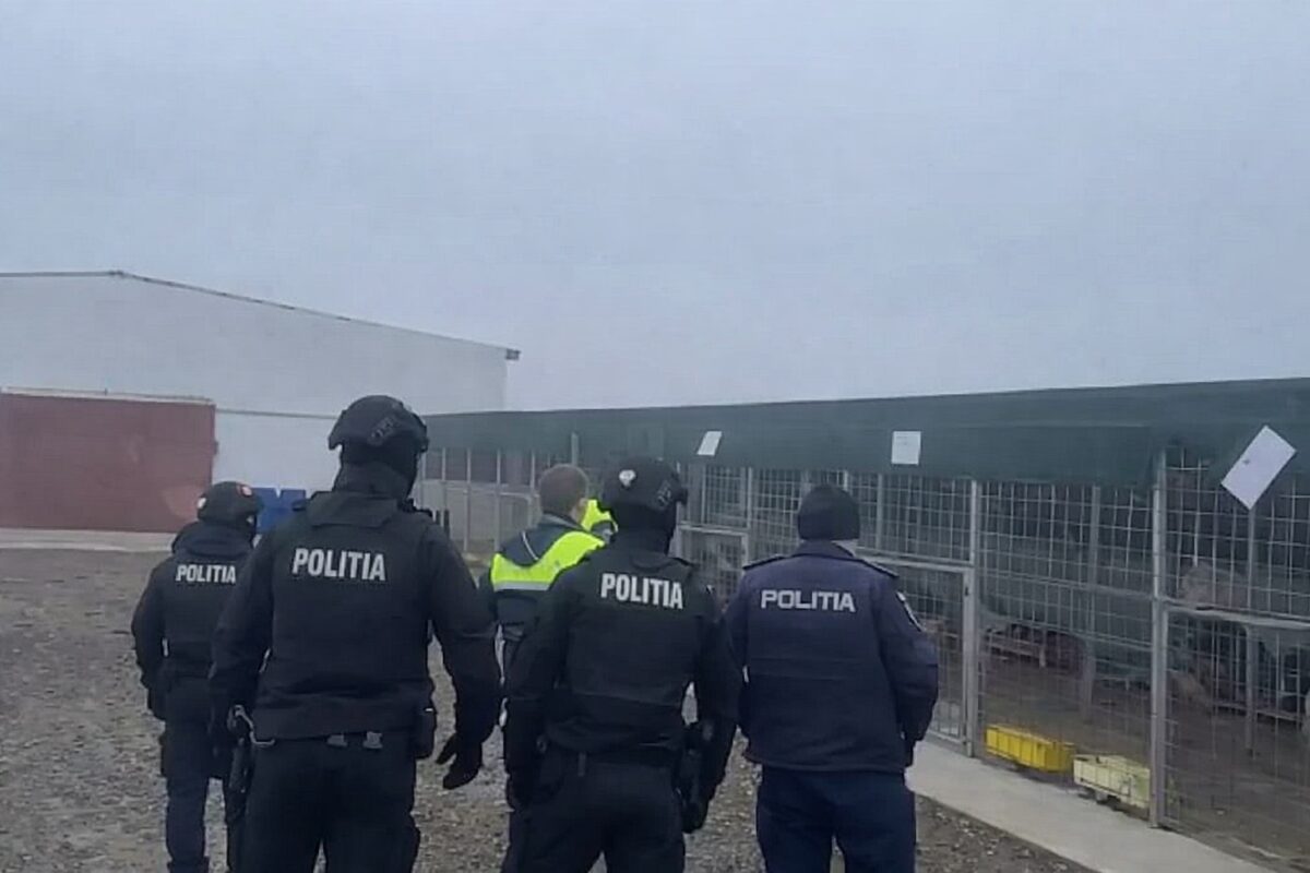 Trei persoane, puse sub control judiciar după ancheta de la adăpostul de câini de la Suraia